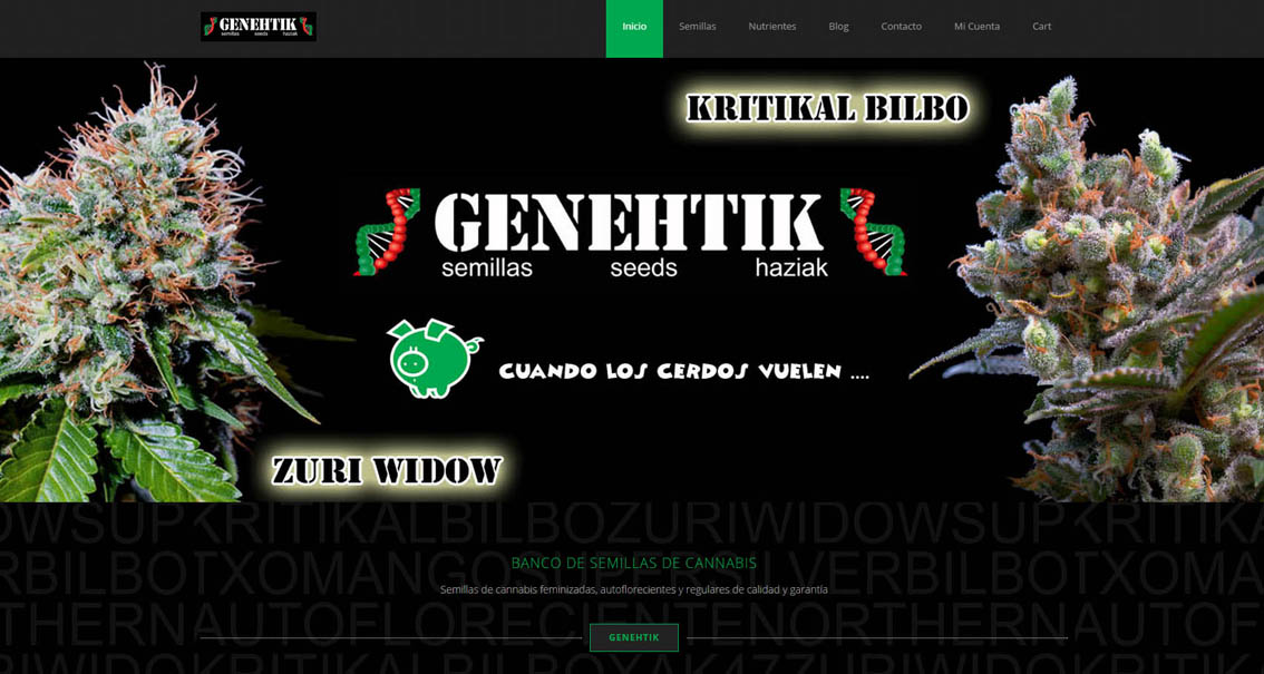 nueva web genehtik