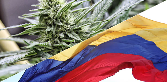 Colombia esta cerca de legalizar el uso medicinal de la marihuana