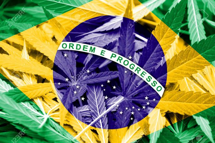 Brasil aprueba el uso de marihuana medicinal