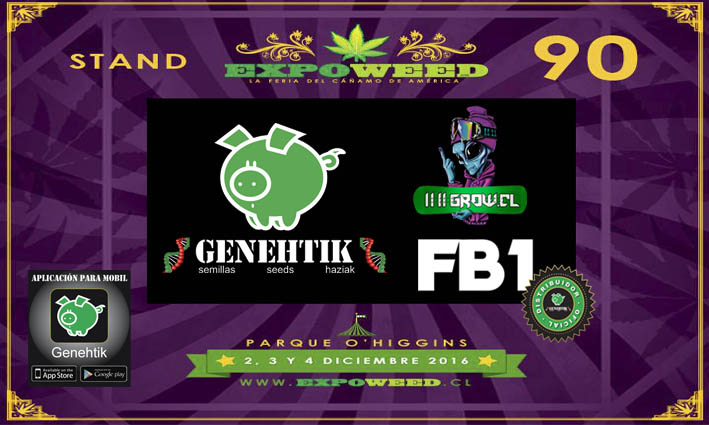 Semillas de cannabis Genehtik en Expoweed Chile 2017