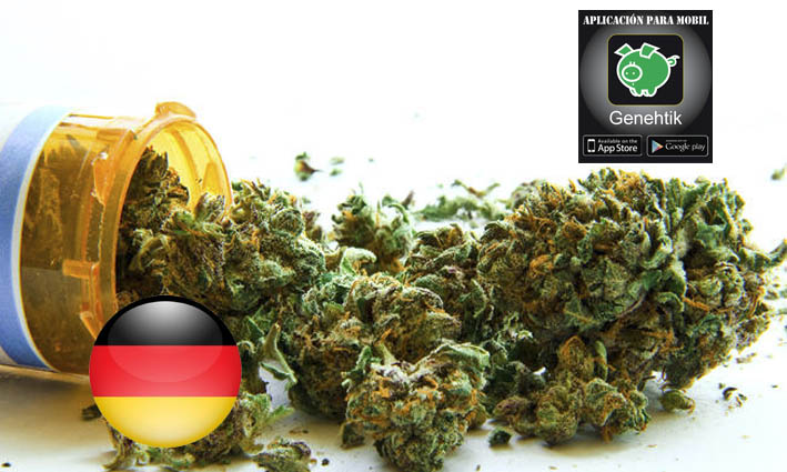 Alemania financiará los tratamientos con cannabis