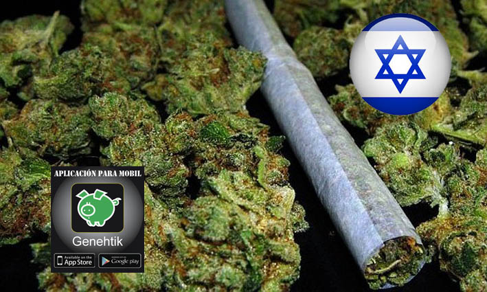 Despenalización de la marihuana en Israel