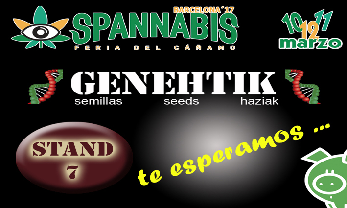 spannabis 2017 - Stand 7