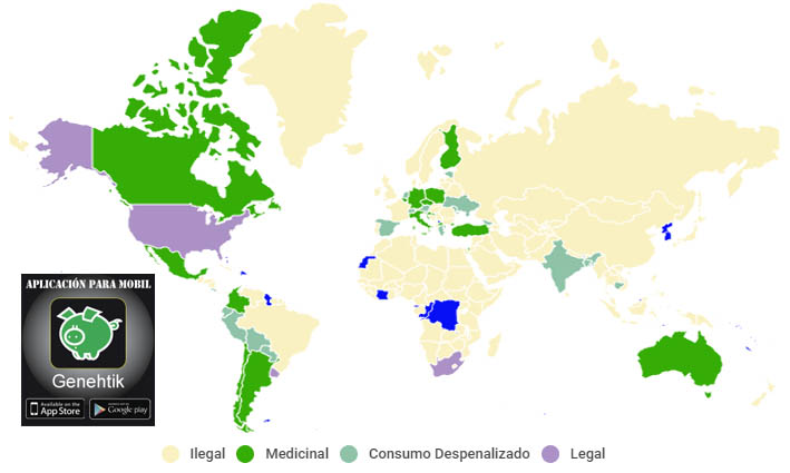 Estado de la regulación del cannabis en el mundo y en Estado Unidos