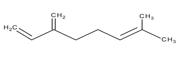 El mirceno es el terpeno que aumenta el efecto del cannabis en el cerebro