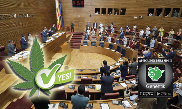 Las Cortes Valencianas han votado para la regulación del cannabis