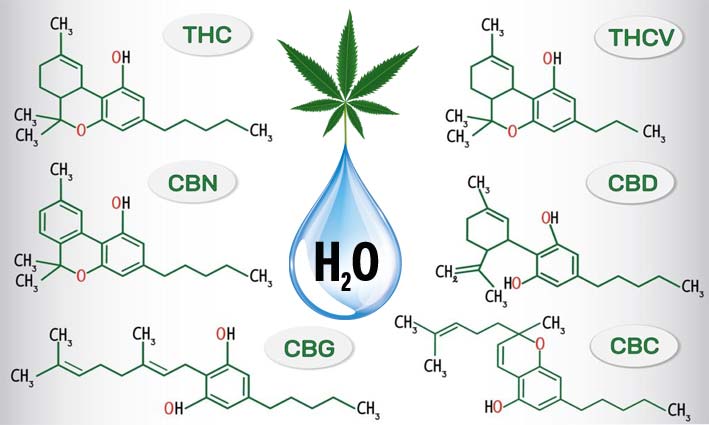 Cannabinoides solubles en agua