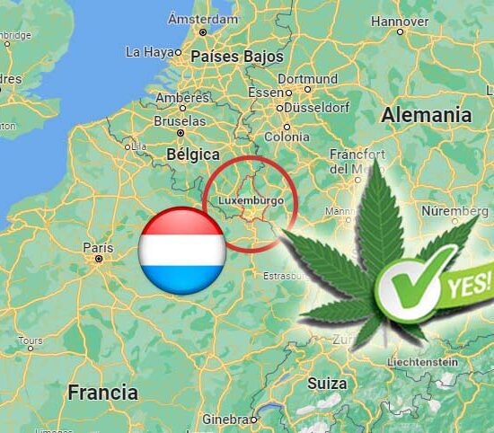 Luxemburgo legaliza el cultivo y el consumo de cannabis