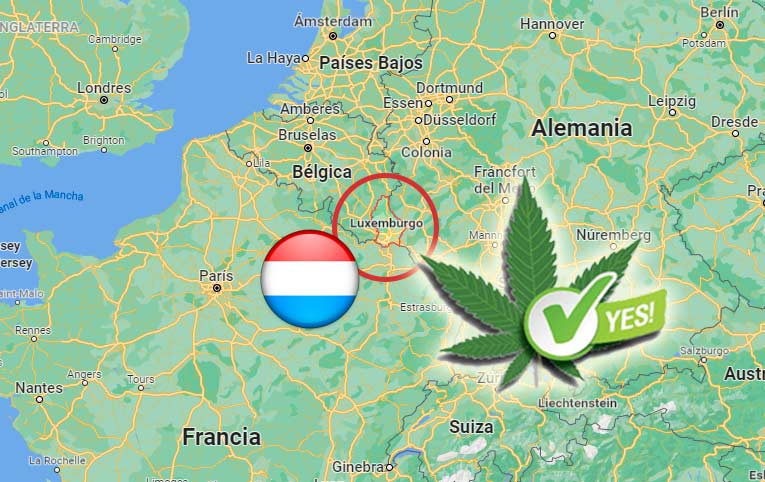 Luxemburgo legaliza el cultivo y el consumo de cannabis