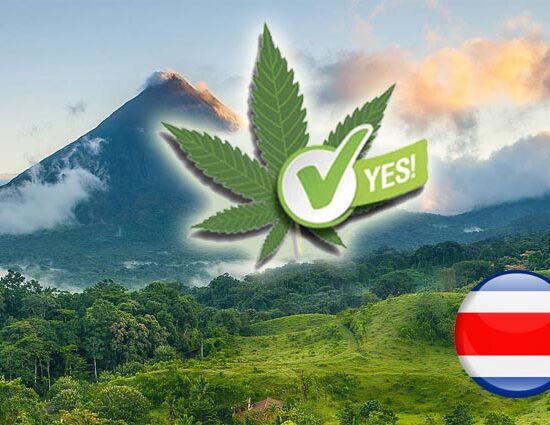 Costa Rica inicia industria cannabis