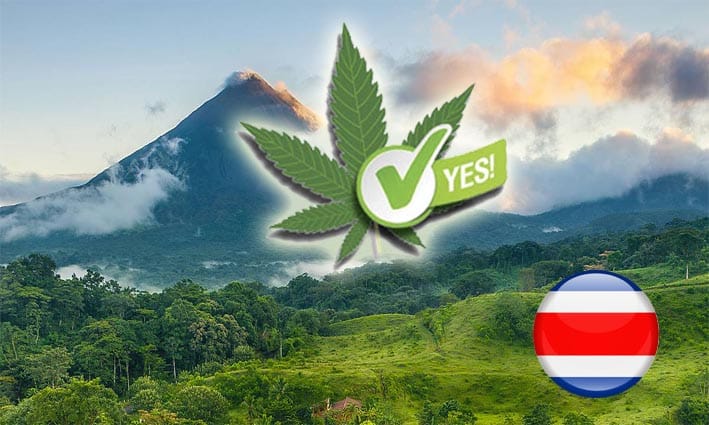 Costa Rica inicia industria cannabis